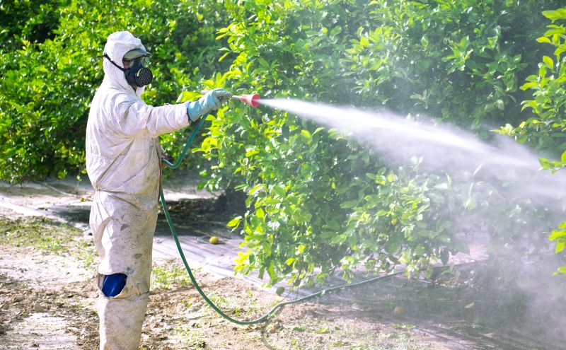 Pest Fumigation Service in Coeur D Alene, ID